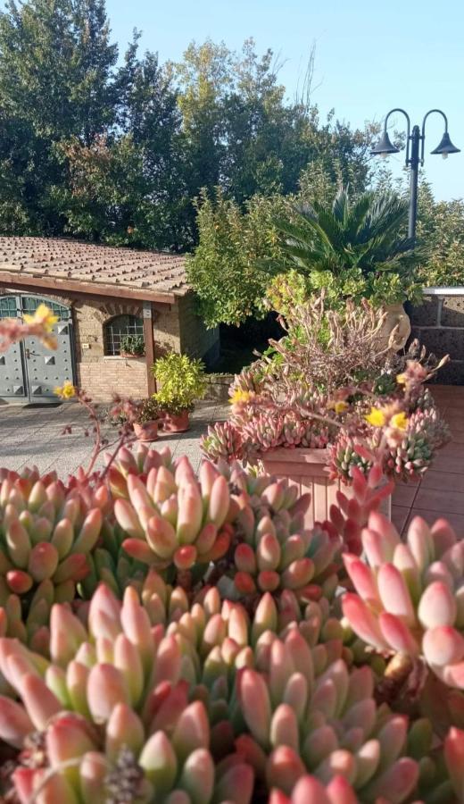 La Casa Sull'Aia,Av Bed and Breakfast Santo Stefano del Sole Eksteriør billede